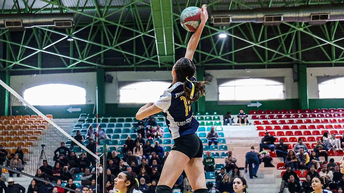 622913086_1492447872887078_4803719209544191653_n