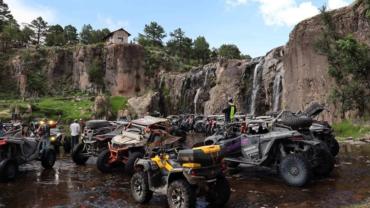 WhatsApp Image 2026-01-27 at 12.14.56 PM