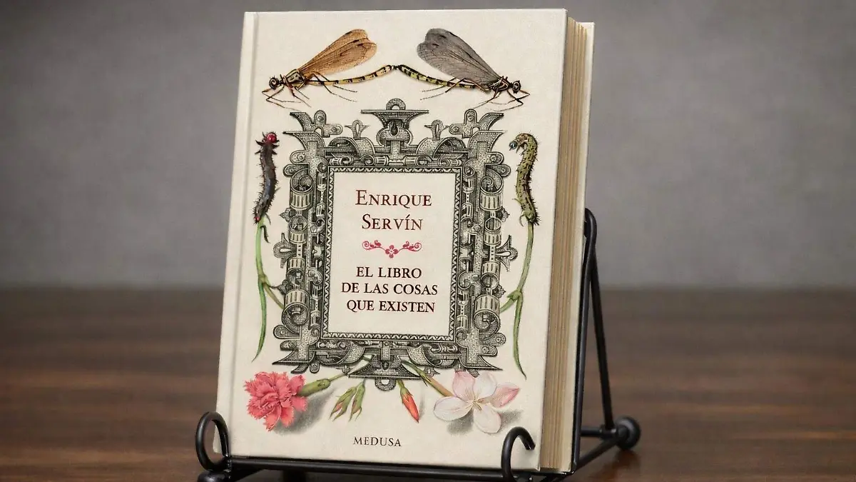 WhatsApp Image 2026-01-26 at 4.30.50 PM