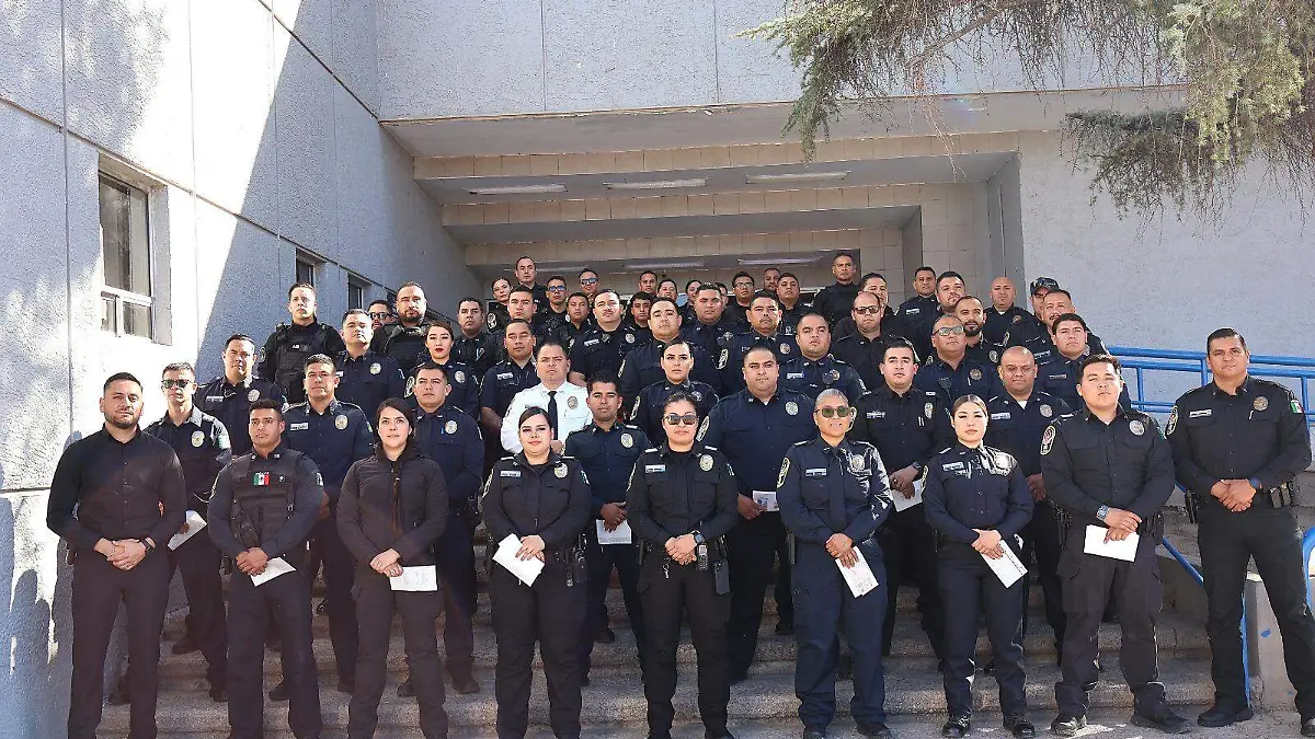 WhatsApp Image 2026-01-27 at 9.47.19 AM