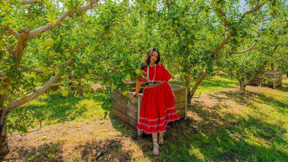 491923234_1245233527605580_5165539108096046731_n