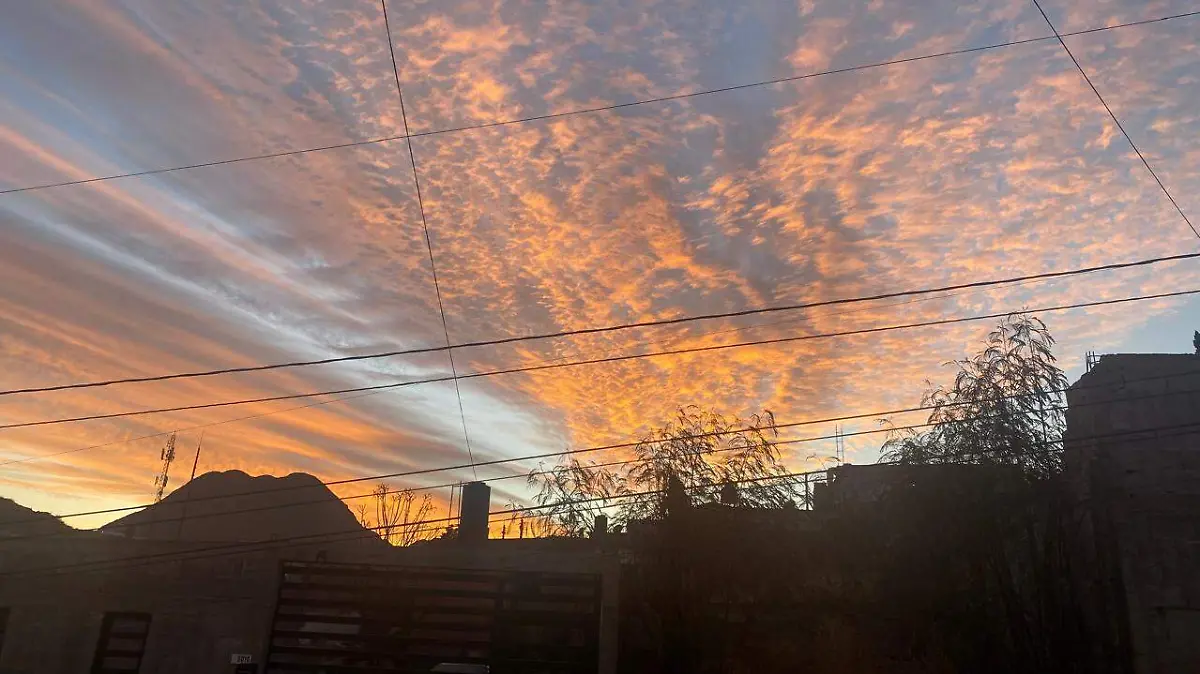 WhatsApp Image 2026-01-28 at 7.23.18 AM