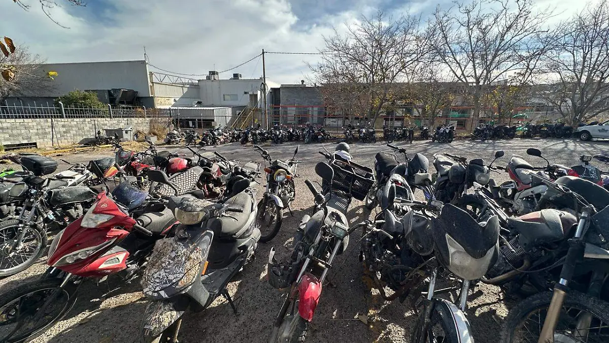 WhatsApp Image 2026-01-28 at 11.41.31 AM