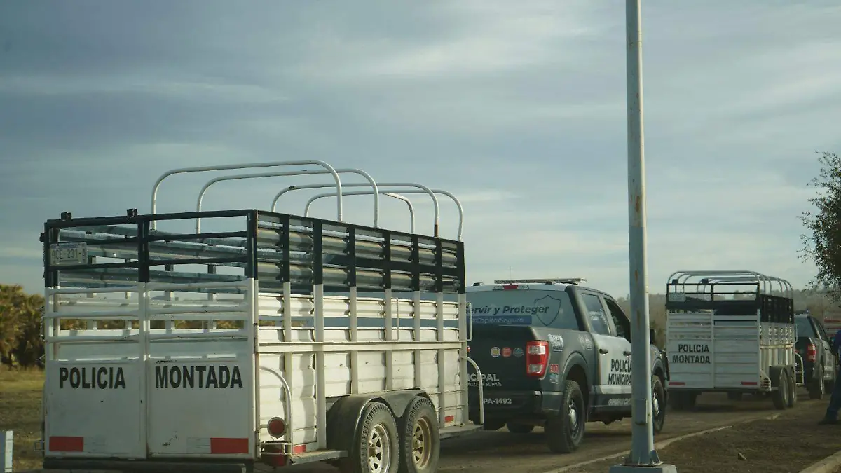 WhatsApp Image 2026-01-29 at 11.38.13 AM