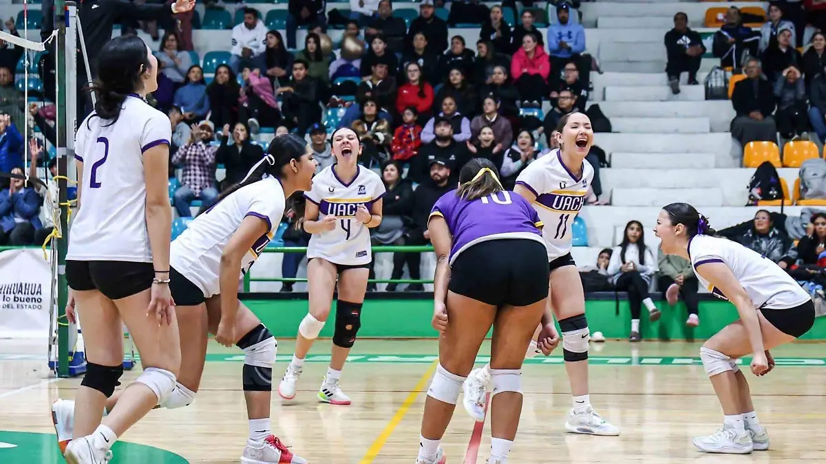 8c2a50c5-5da9-4b98-83d9-7a95d1bcbd3b