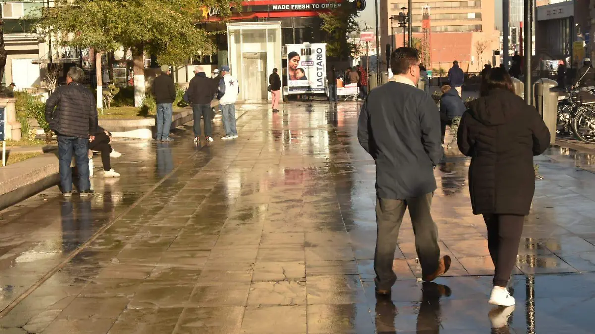 WhatsApp Image 2026-01-31 at 9.10.42 AM (1)