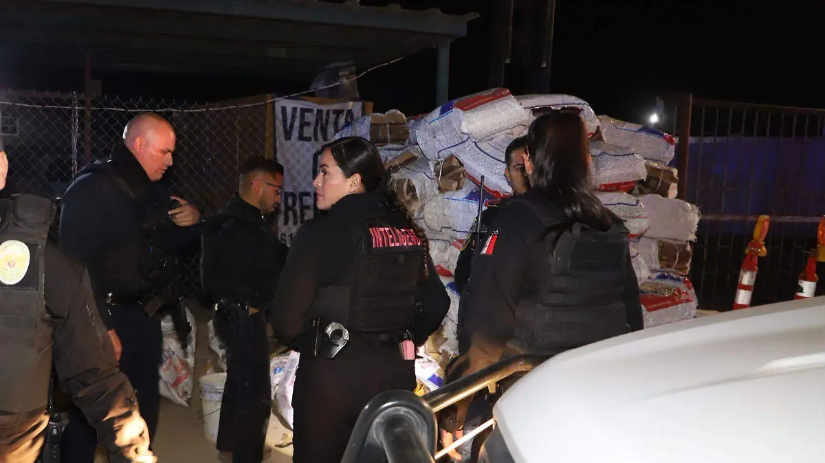 WhatsApp Image 2026-01-30 at 11.22.14 PM