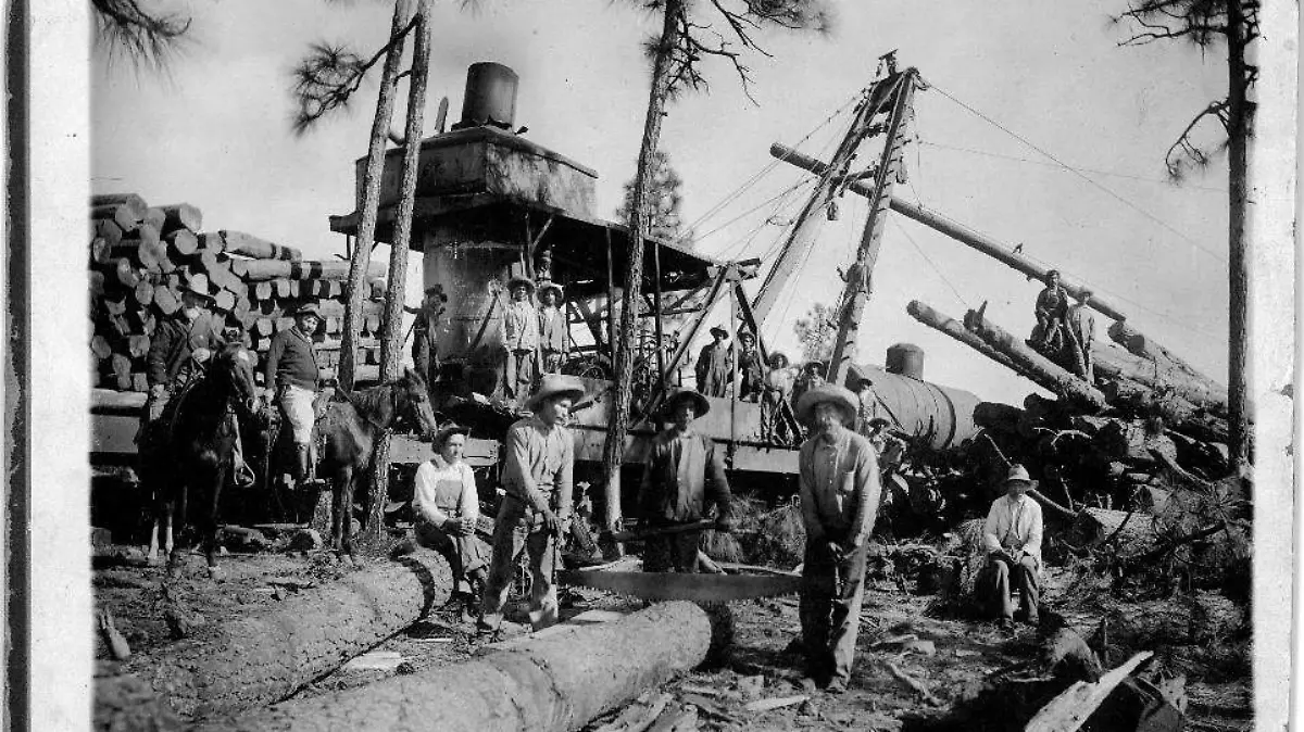 WhatsApp Image 2026-01-30 at 21.12.17