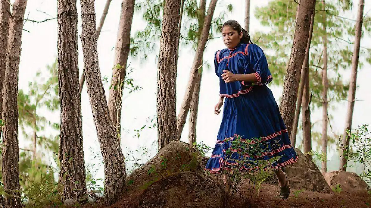 33dc3d81-df43-4459-8262-8b4d250987dd