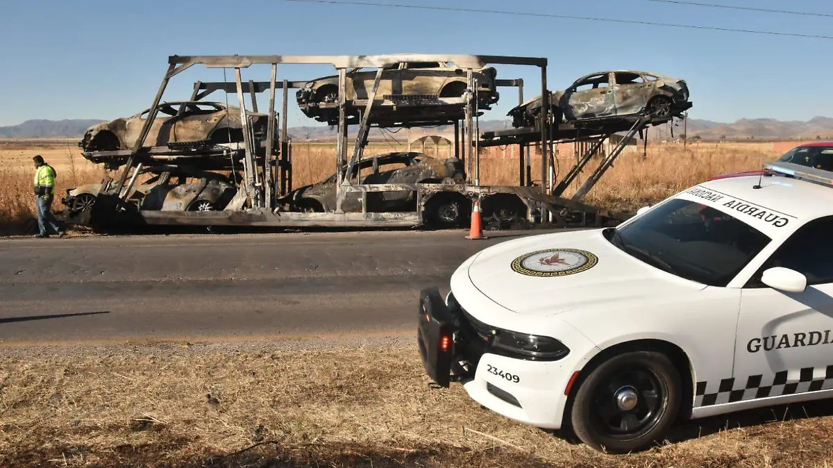 WhatsApp Image 2026-01-31 at 2.36.35 PM