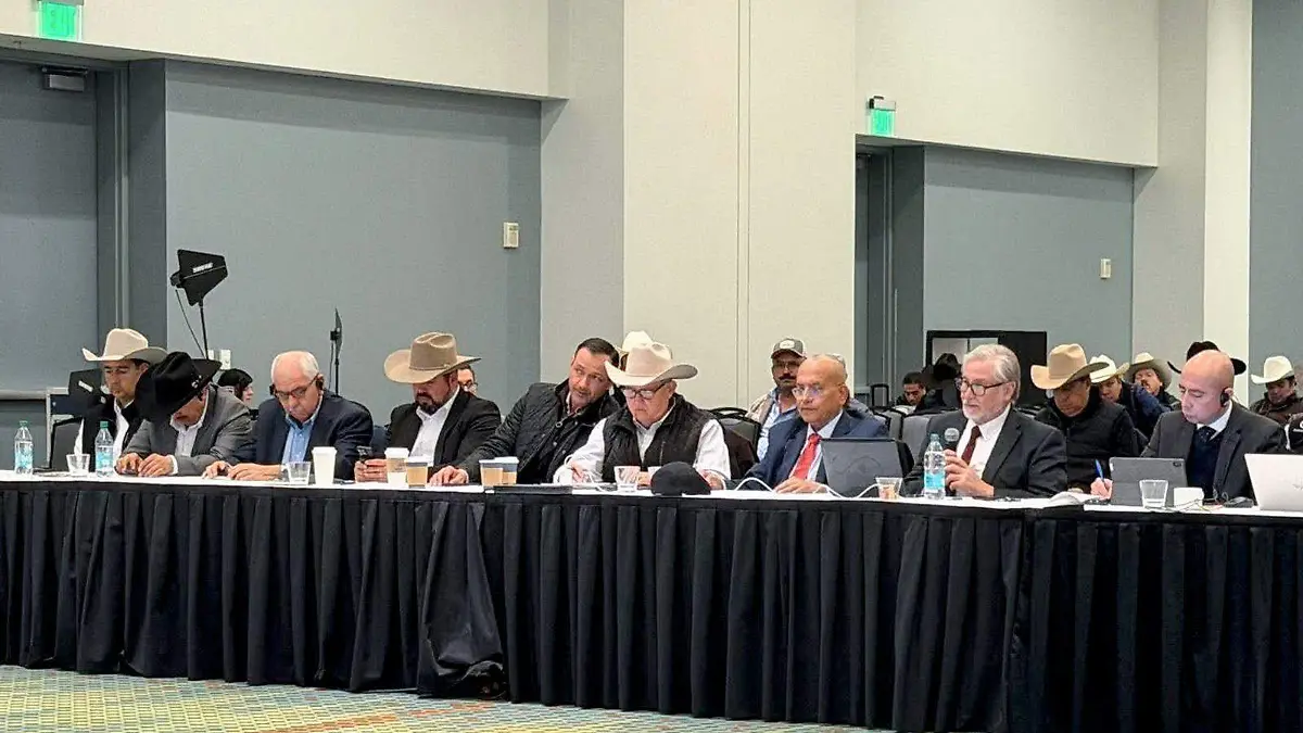 WhatsApp Image 2026-02-01 at 11.13.04 AM