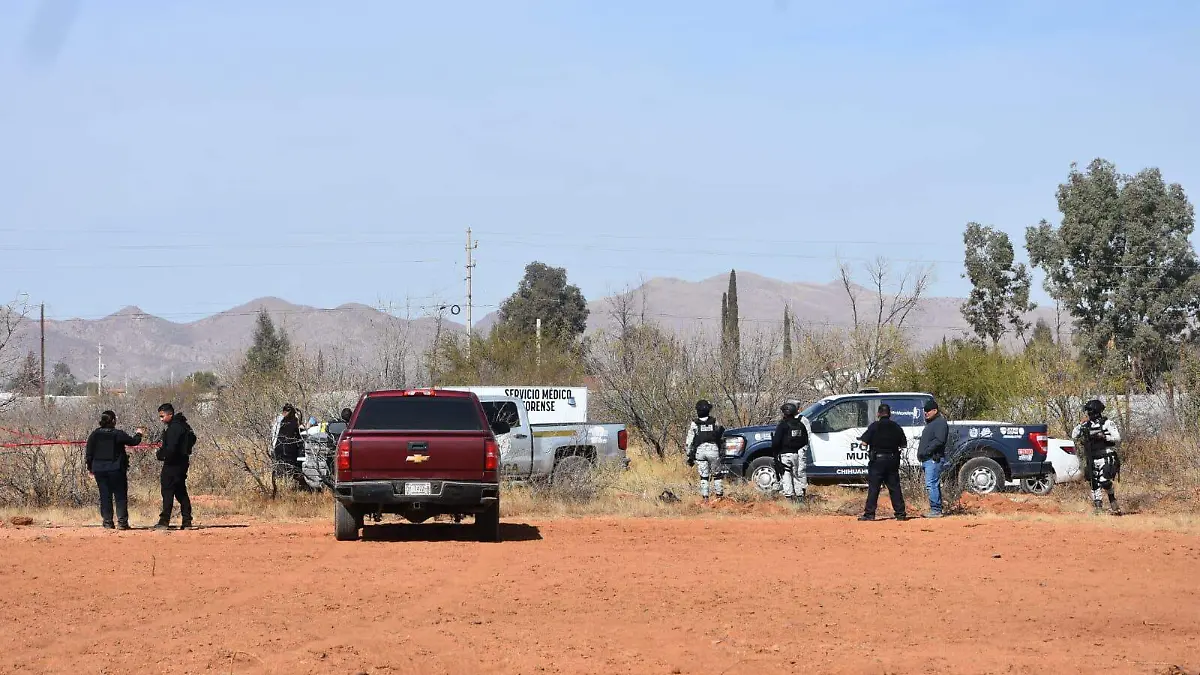 WhatsApp Image 2026-02-01 at 12.08.59 PM