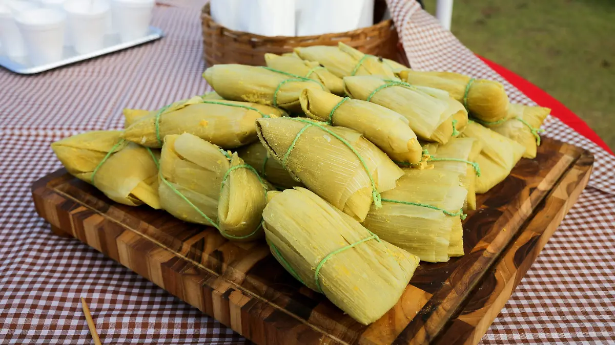 pexels-vidalbalielojrfotografia-10949543