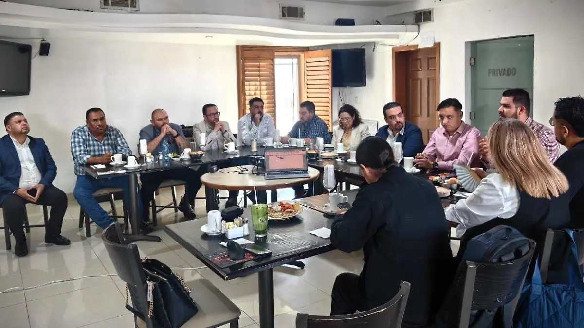 consejo consultivo vialidad