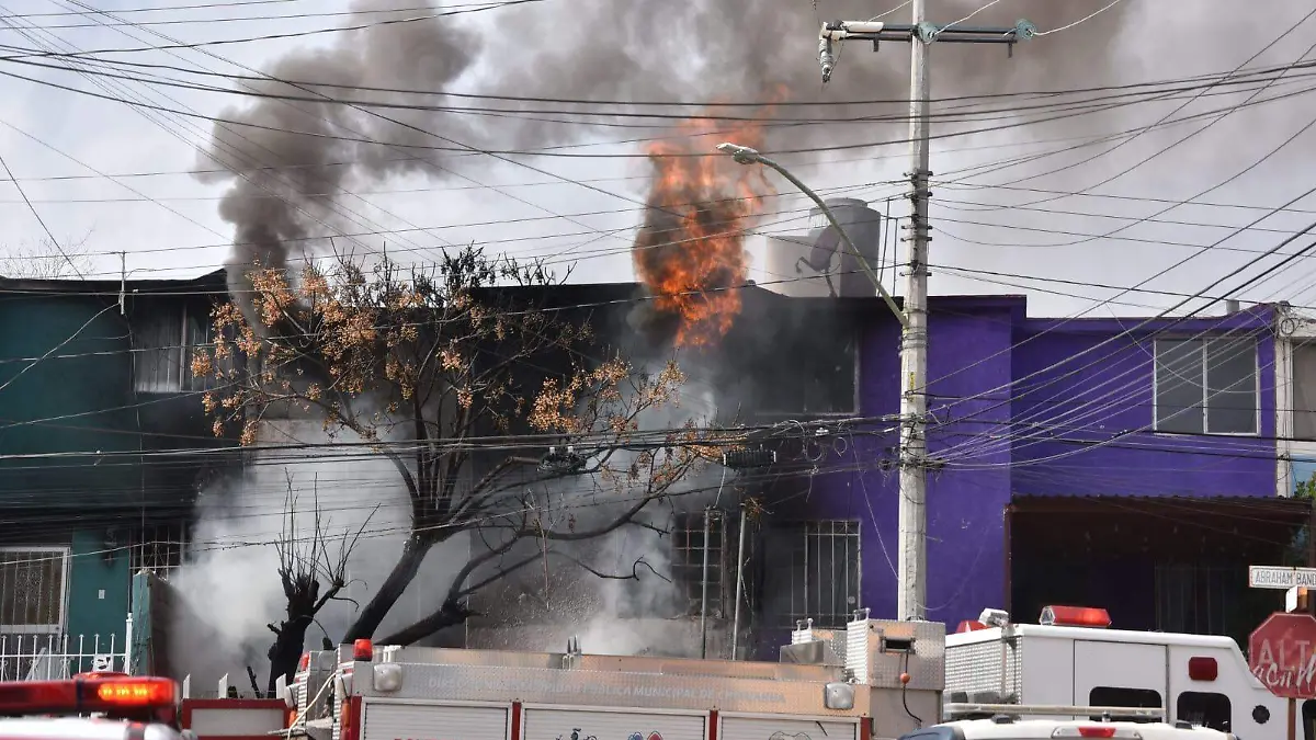 WhatsApp Image 2026-02-05 at 12.51.38 PM