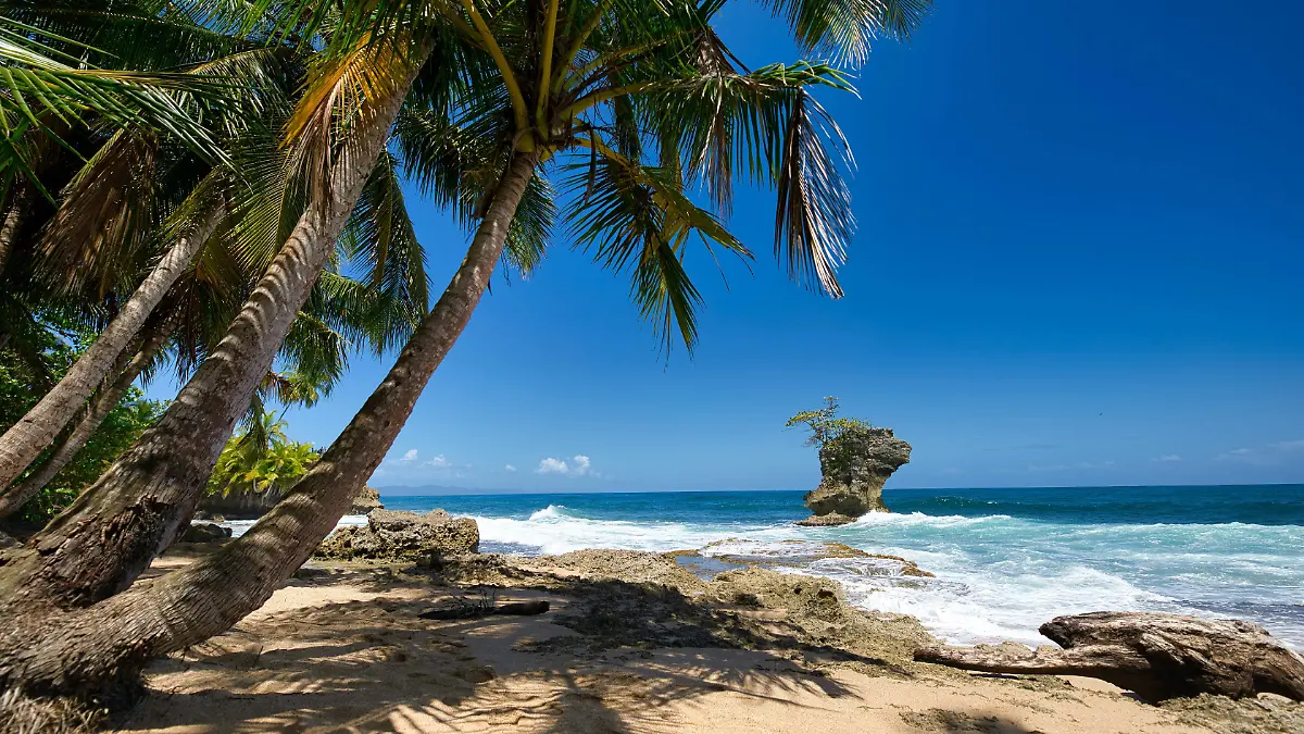 pexels-koen-swiers-9754449-12832297