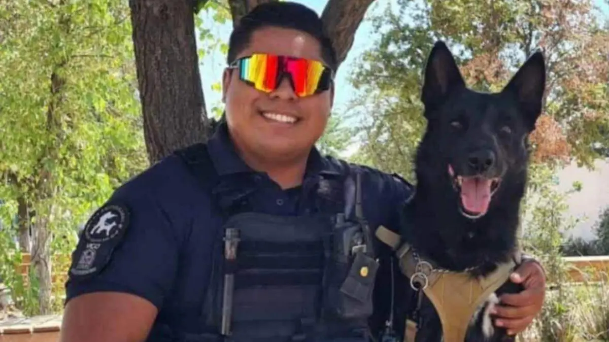 WhatsApp Image 2026-02-06 at 9.49.10 AM