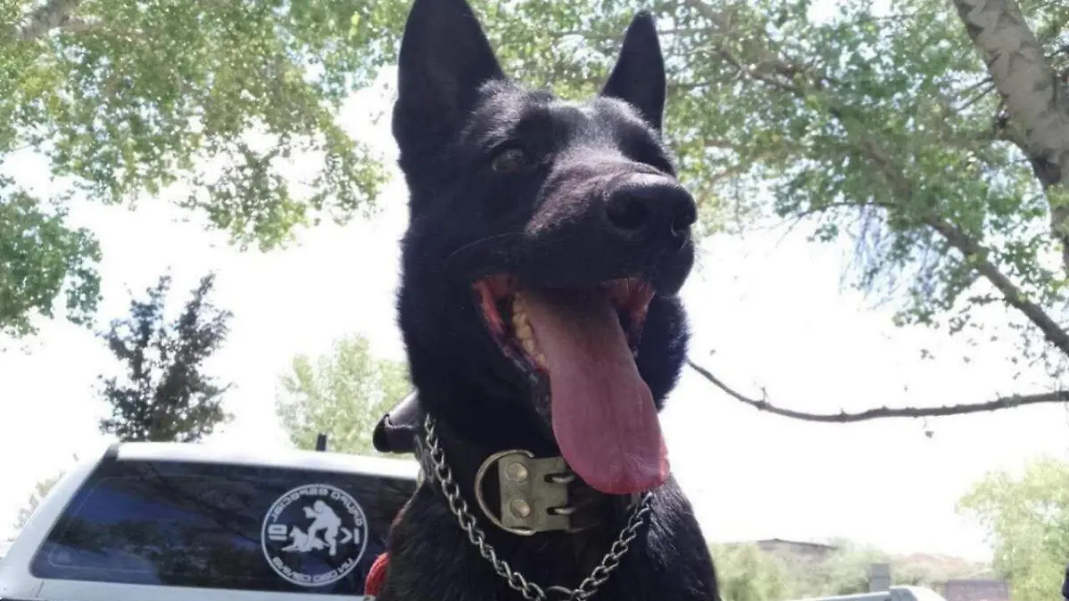 WhatsApp Image 2026-02-06 at 9.49.10 AM (1)