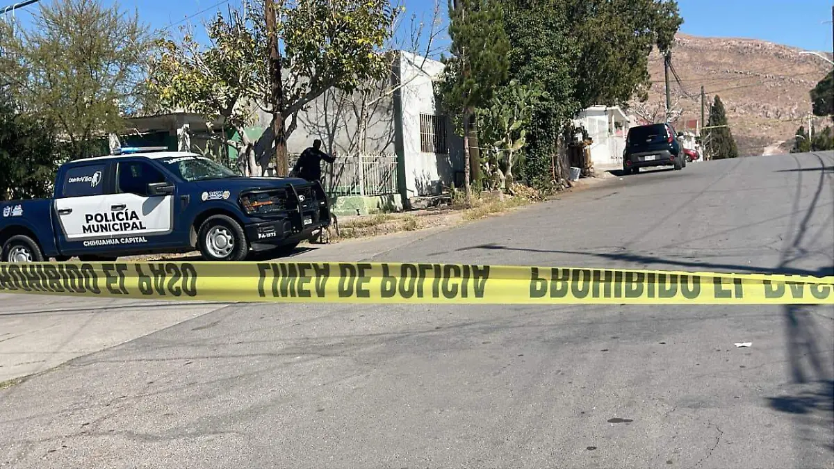 WhatsApp Image 2026-02-06 at 2.40.26 PM