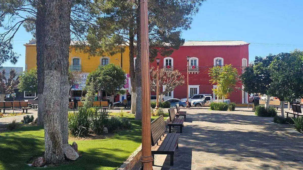 WhatsApp Image 2026-02-08 at 9.28.01 AM