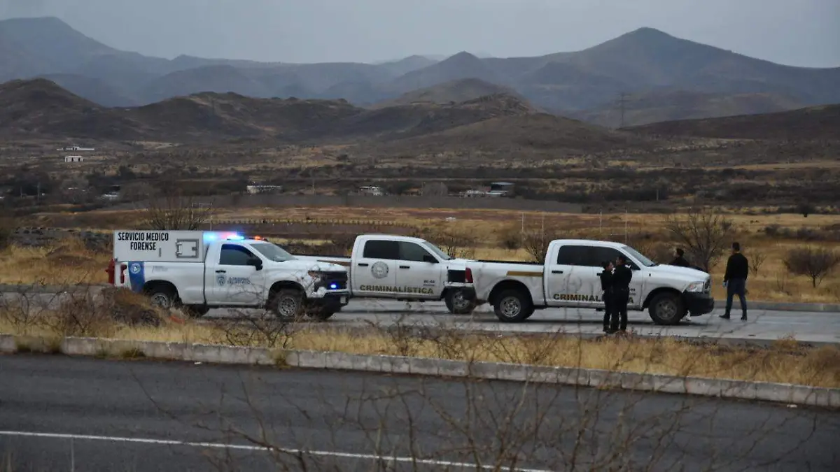 WhatsApp Image 2026-02-09 at 7.48.18 AM