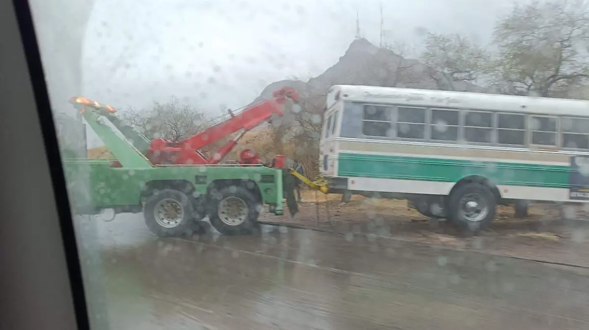 WhatsApp Image 2026-02-09 at 9.50.45 AM