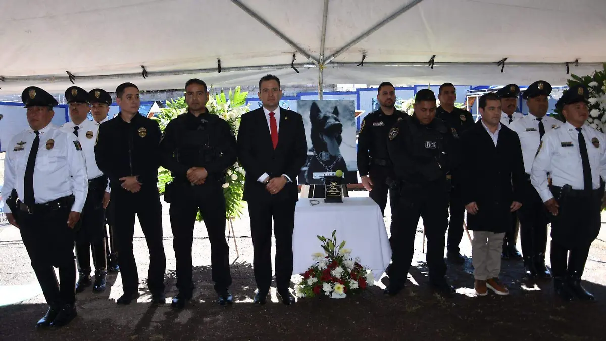 WhatsApp Image 2026-02-10 at 12.19.09 PM