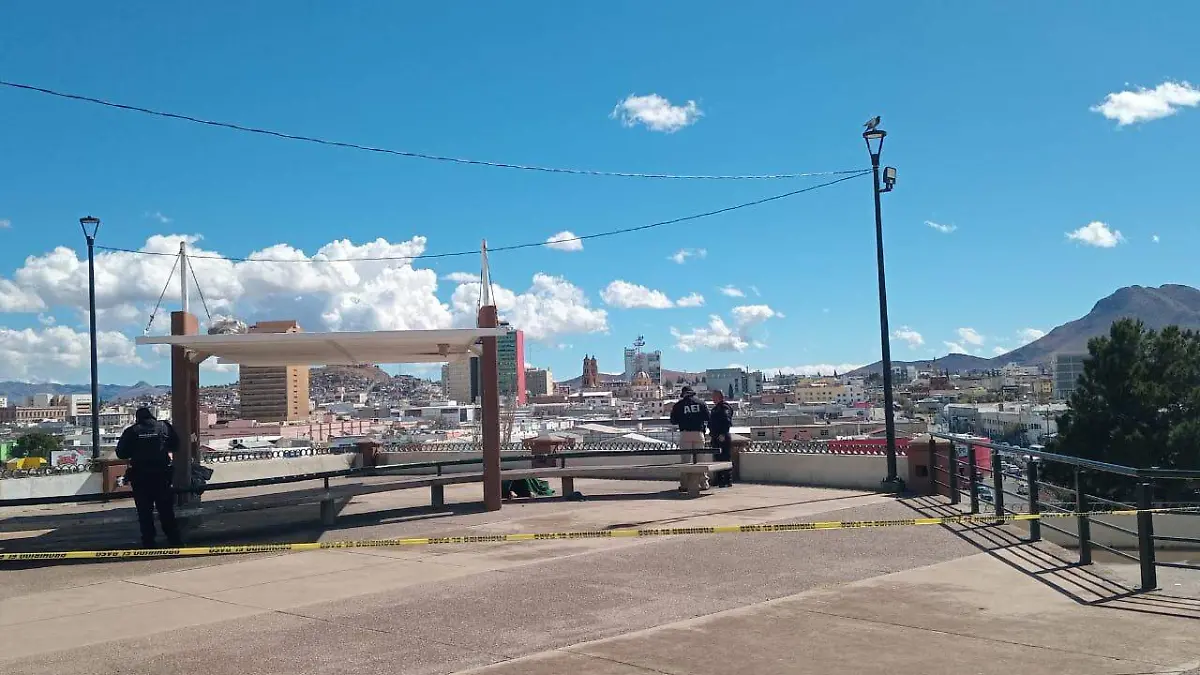 WhatsApp Image 2026-02-10 at 1.41.20 PM