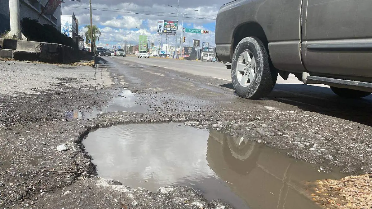 WhatsApp Image 2026-02-10 at 12.50.31 PM