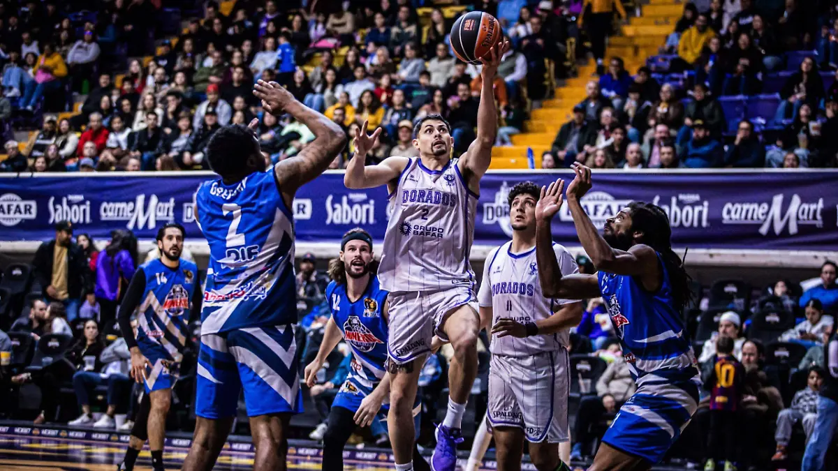 cbc0dcbf-8e10-41ab-97ad-fd22cebfe017