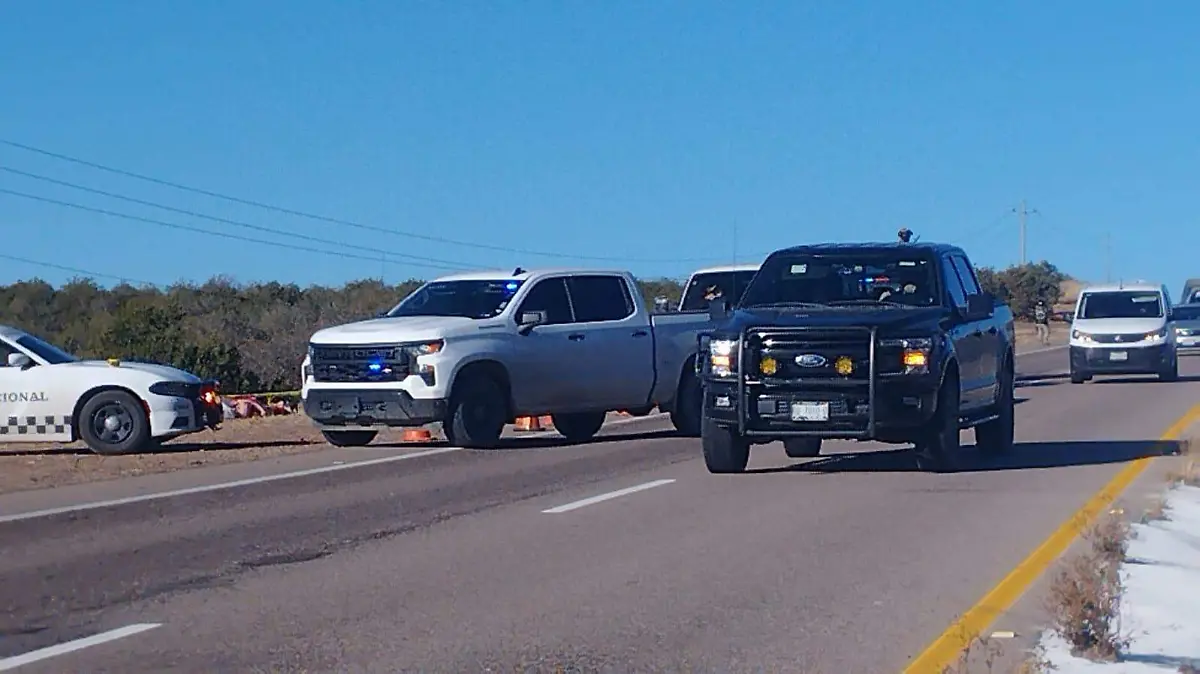 WhatsApp Image 2026-02-11 at 12.18.22 PM