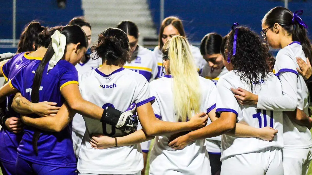 faf2f62f-8c31-442c-98ca-992877eb5c88