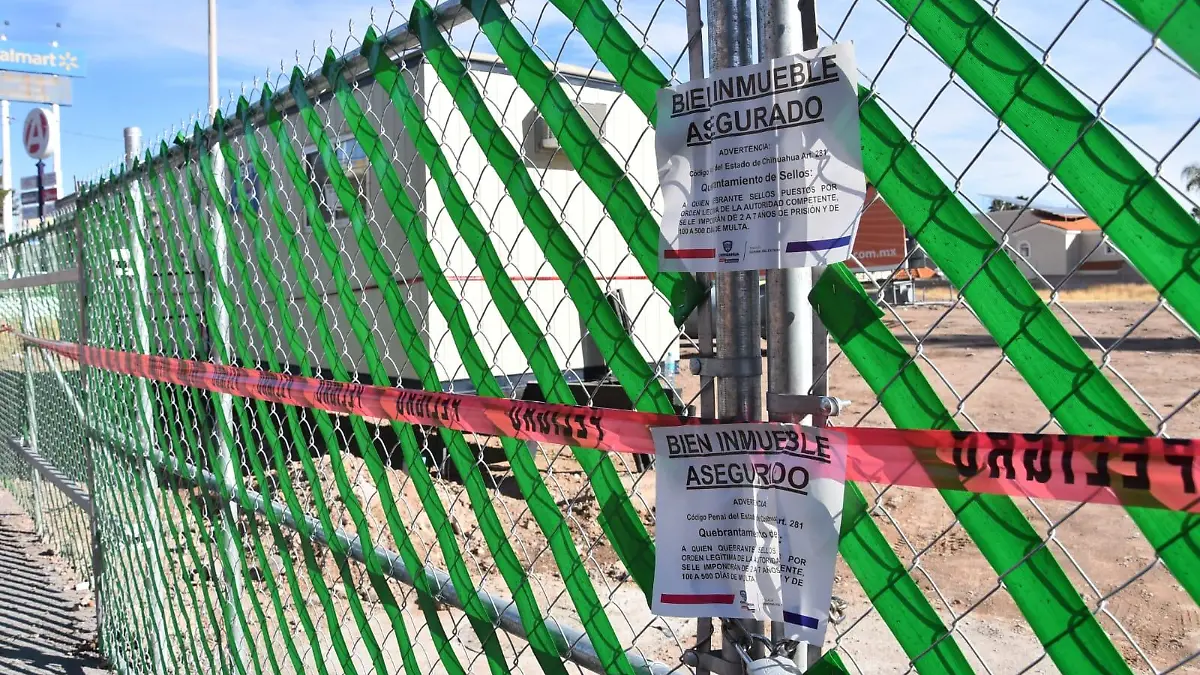 WhatsApp Image 2026-02-12 at 11.33.18 AM