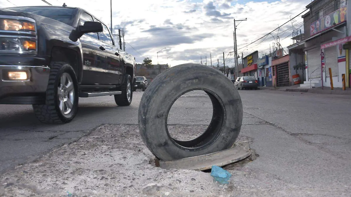 WhatsApp Image 2026-02-12 at 12.42.31 PM