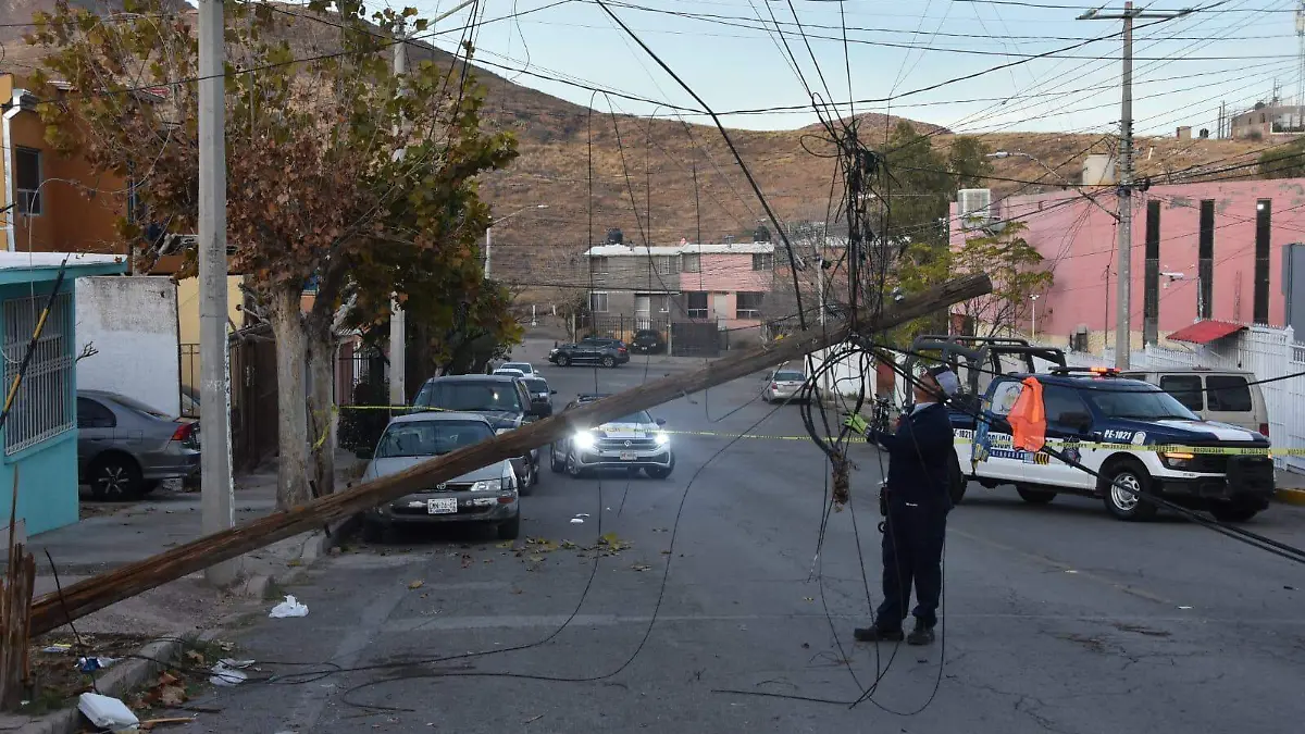 WhatsApp Image 2026-02-13 at 8.37.58 AM