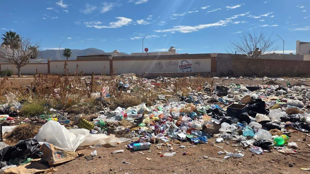 WhatsApp Image 2026-02-13 at 9.44.09 AM