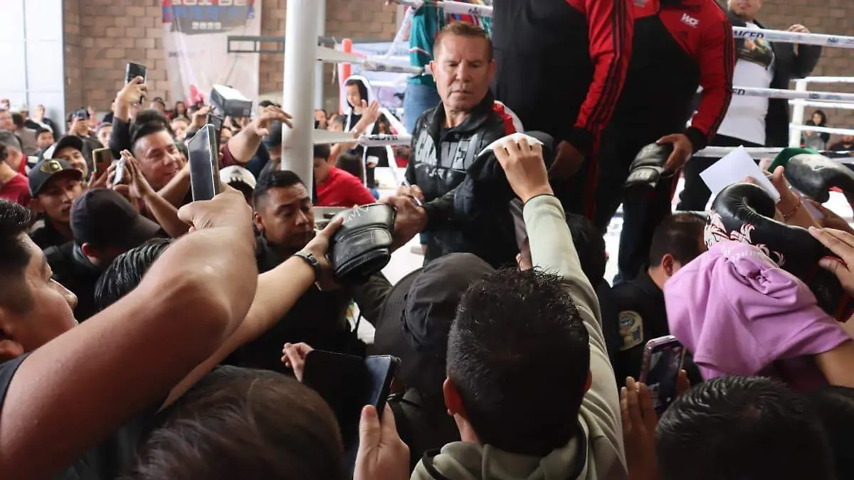 WhatsApp Image 2026-02-13 at 12.50.04 PM