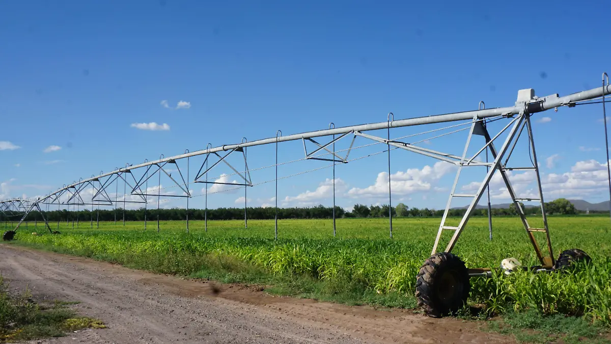 Sistema de riego por aspersión