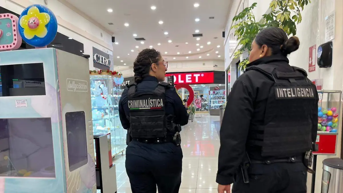 WhatsApp Image 2026-02-14 at 1.02.03 PM