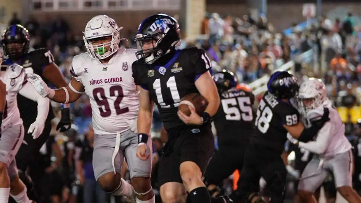 WhatsApp Image 2026-02-14 at 5.21.48 PM