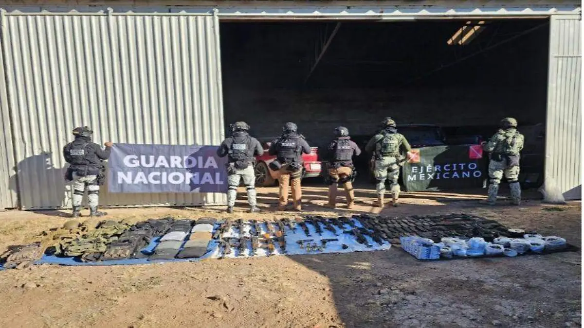 WhatsApp Image 2026-02-15 at 11.24.36 AM