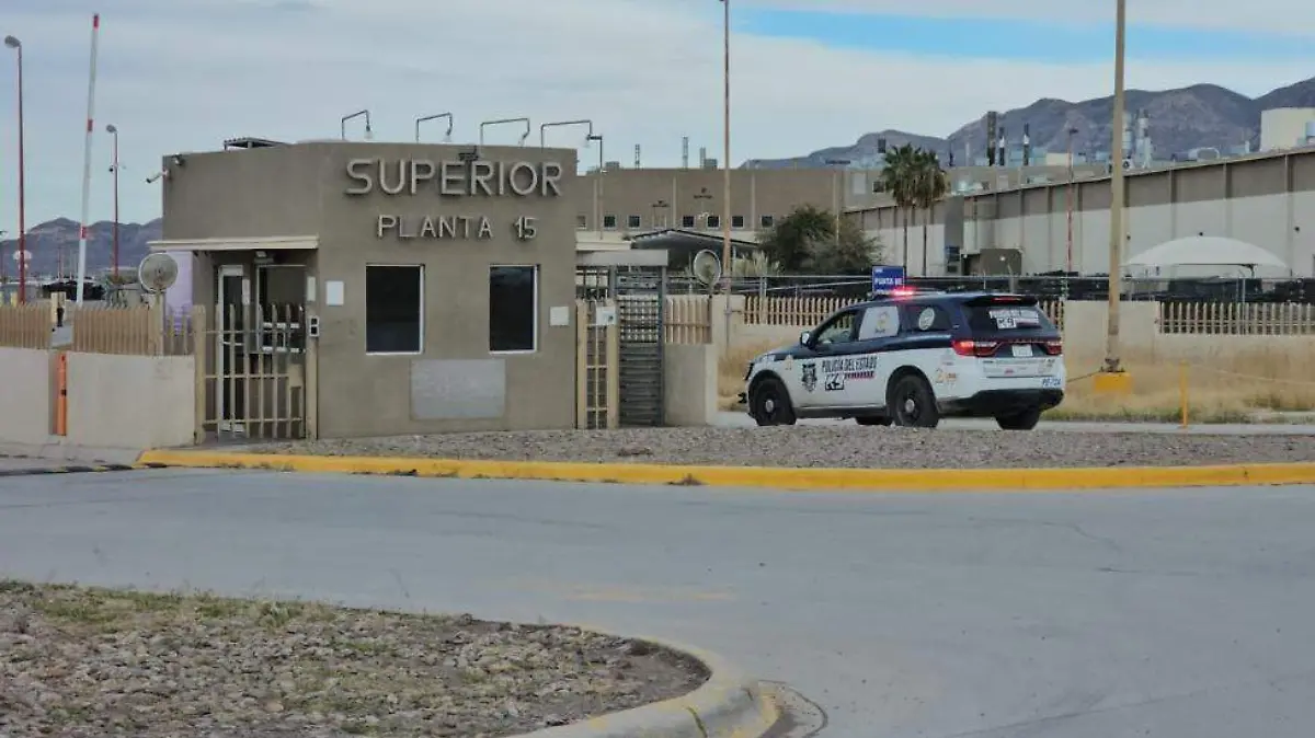 WhatsApp Image 2026-02-15 at 6.12.11 PM