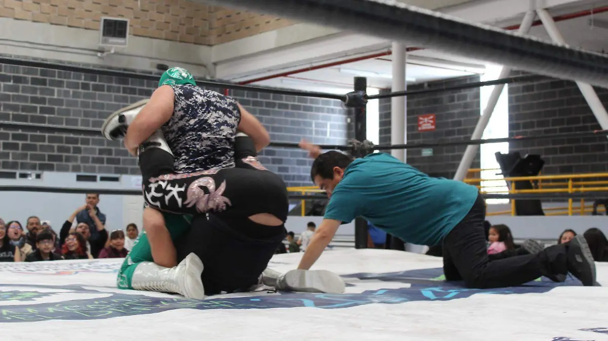 WhatsApp Image 2026-02-16 at 8.01.51 AM