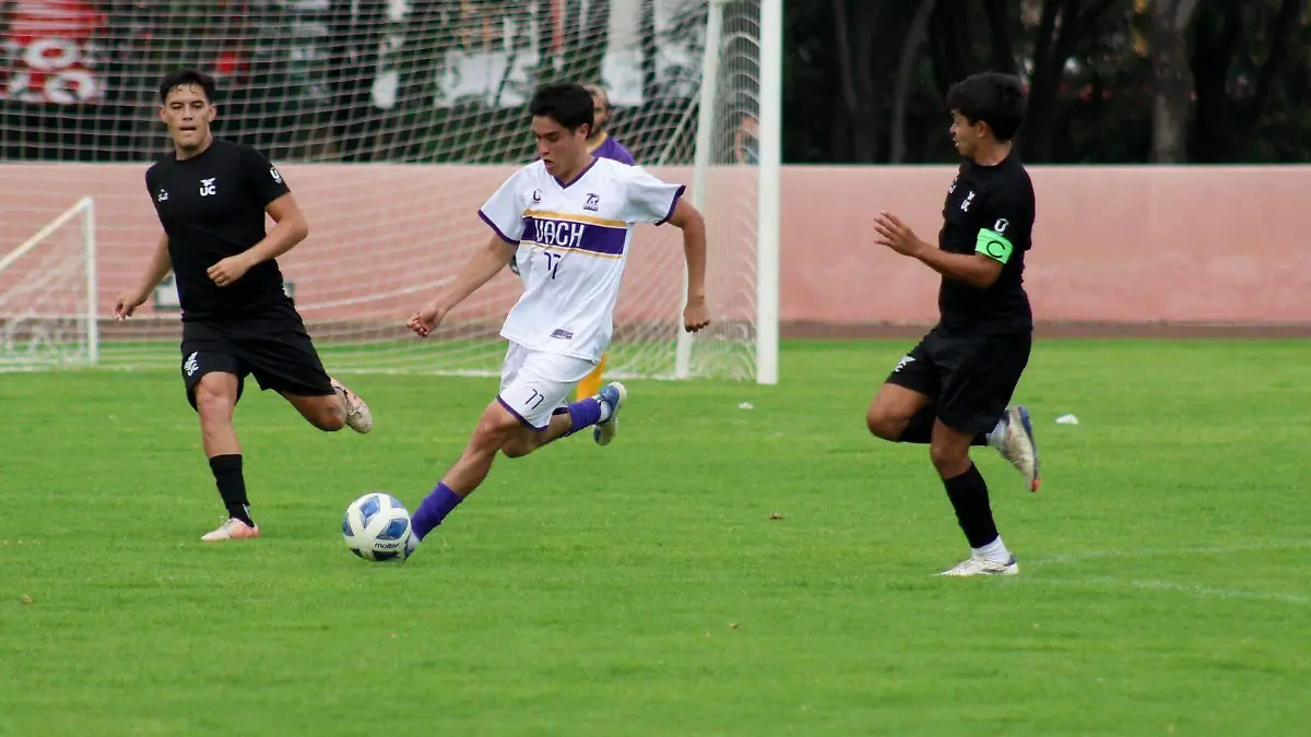 WhatsApp Image 2026-02-16 at 2.56.36 PM