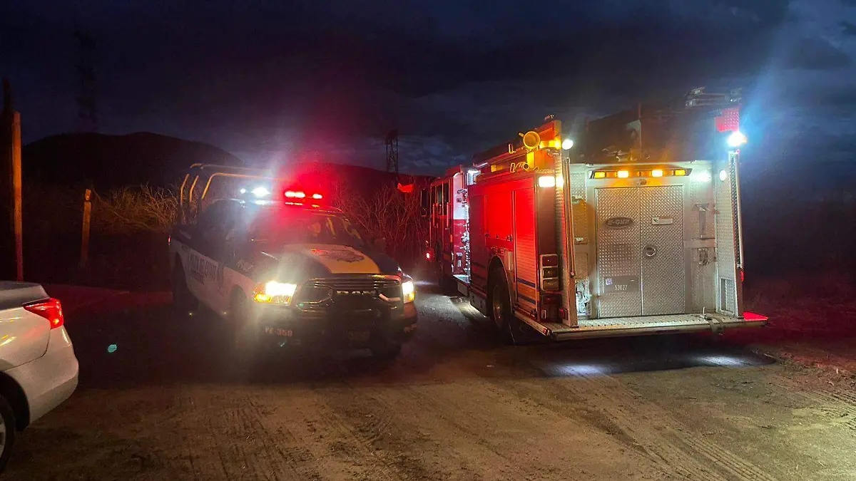 WhatsApp Image 2026-02-13 at 7.55.07 PM