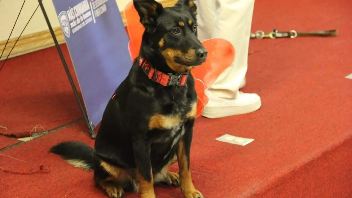 Violeta, símbolo de resiliencia, protagoniza encuentro de reflexión humanista en Filosofía y Letras