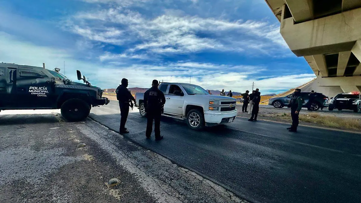 WhatsApp Image 2026-02-17 at 1.48.05 PM (1)