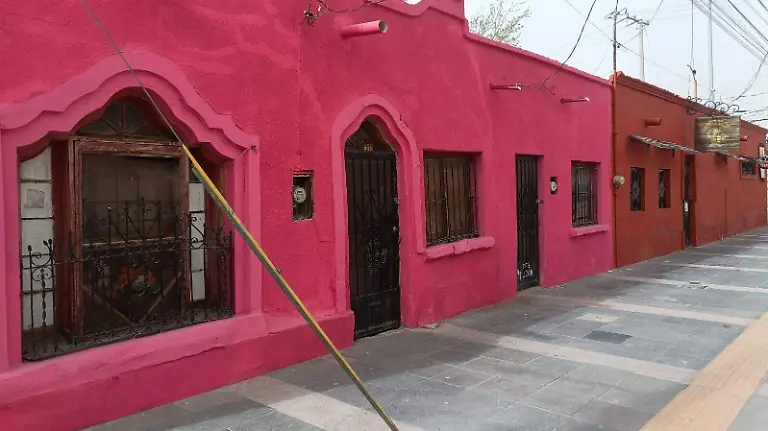 WhatsApp Image 2026-02-18 at 11.07.06 AM