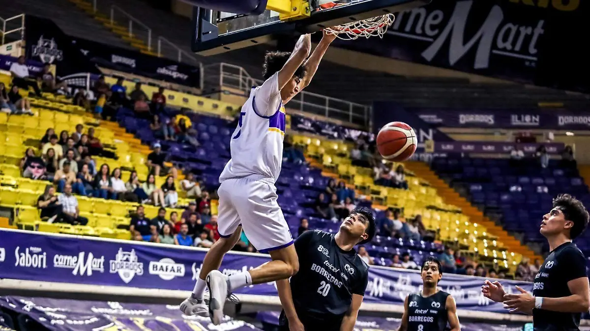 fab0de22-0d4b-467f-9c9a-5b279360642e