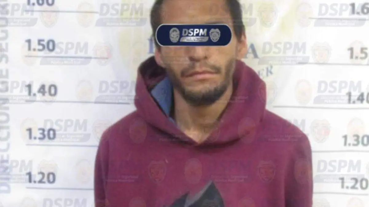 WhatsApp Image 2026-02-18 at 2.46.51 PM